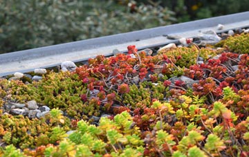 the cost of Etchinghill green roof installation