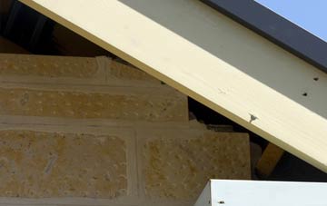 soffit repair Etchinghill